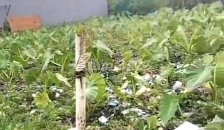 Dijual Tanah Kavling Keputih Tegal Bakti