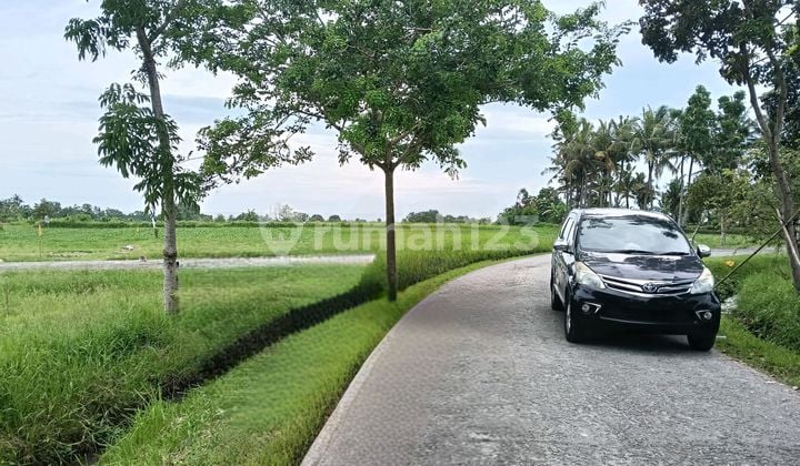 Exclusive - Tanah Kavling Super Cantik - View Sawah & Laut, Hanya 300 M ke Pantai Belong