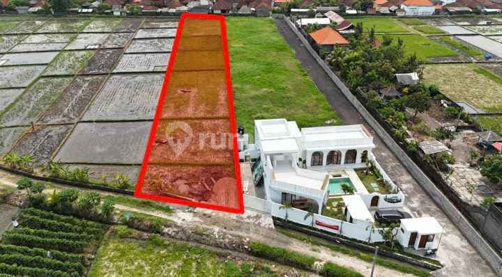 LAND NEAR THE BEACH IN A FAST GROWING VILLA AREA TABANAN (204V)