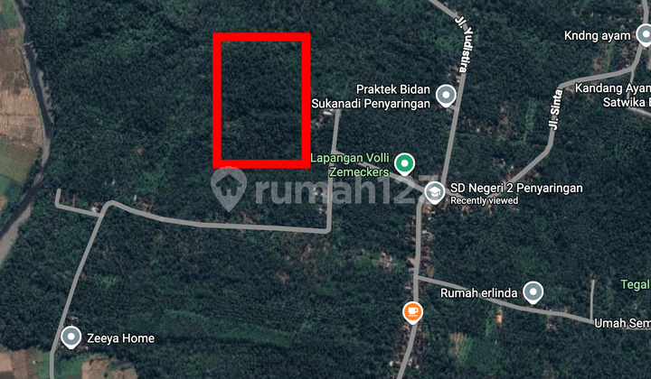 Land 9800M2 (98 Are) in Jembrana, Bali - 5 Minutes to Denpasar-Gilimanuk Main Route