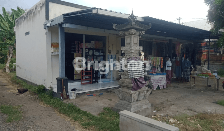 TANAH 6 ARE BONUS 3 RUKO LOKASI JALAN RAYA SINGARAJA