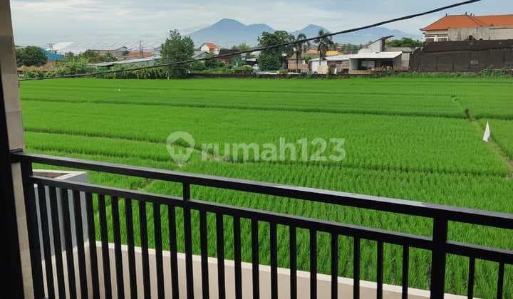 NEW VILLA WITH PRIVATE POOL AND RICE FIELD VIEW(34A1)