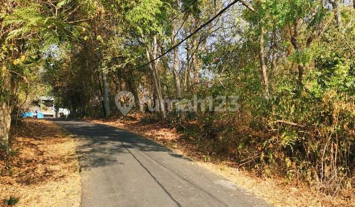 DISEWAKAN TANAH LOKASI PADANG BAI KARANG ASEM