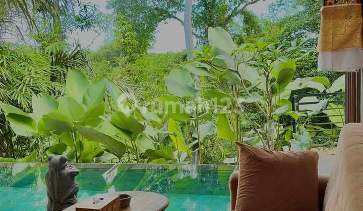 Private 2 Bedroom Villa With Jungle & River Views (315V)