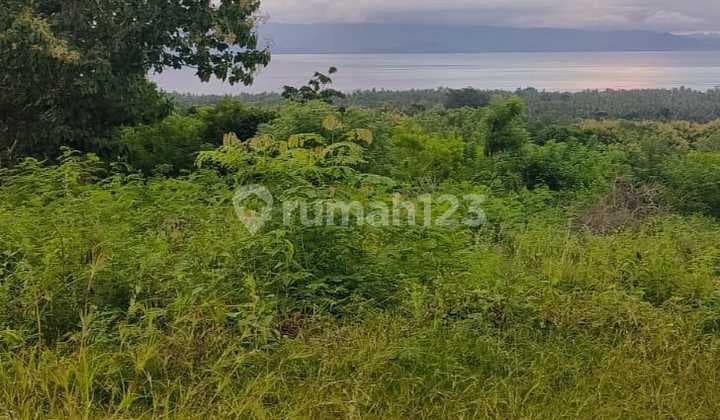 Disewakan tanah di nusa penida lokasi strategis