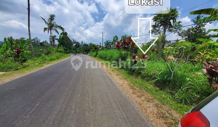 Dijual Tanah Pinggir Jalan Dekat Jembatan Bangkung, Petang (397V)