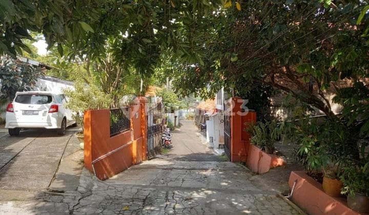 For sale: house and spacious land below NJOP.