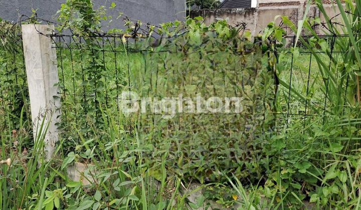 TANAH KOSONG DIKOMPLEK PERUMAHAN TAMAN MUTIARA TANAH KOSONG DIKOMPLEK PERUMAHAN TAMAN MUTIARA