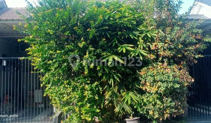 Rumah Daerah Gedangan Sidoarjo.dekat Bandara dan Akses Tol