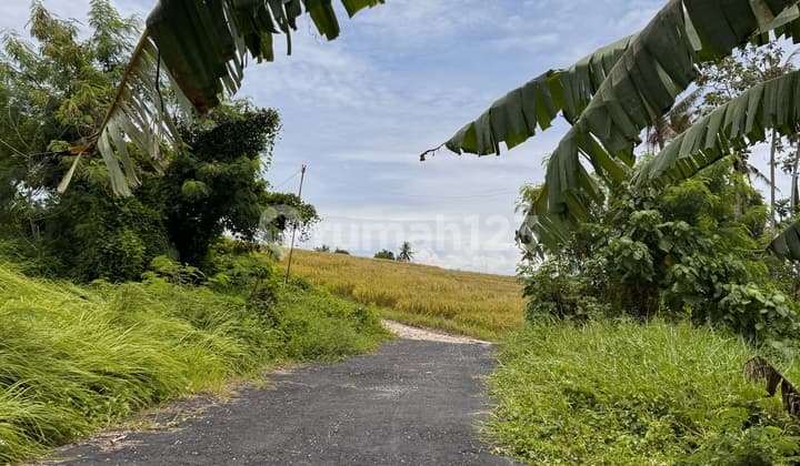 Tanah Siap Bangun SHM di Pererenan Lingkungan Vila
