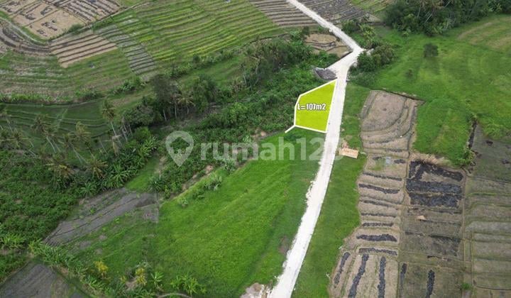 Cheap Land for Sale in Pererenan with Rice Field View