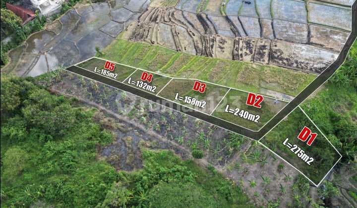 Tanah Kavling Babakan Canggu View Sawah Dan Sunset