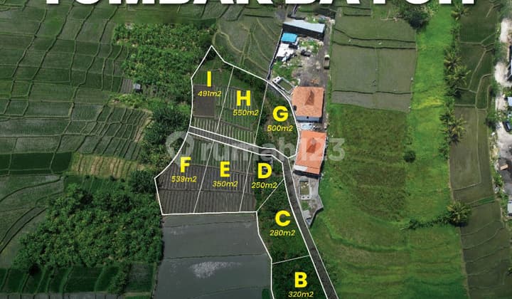 Tanah Murah Tumbakbayuh View Sawah Kawasan Villa