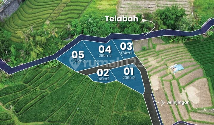 Tanah Kavling Shm Di Munggu - Investasi Strategis Dekat Canggu