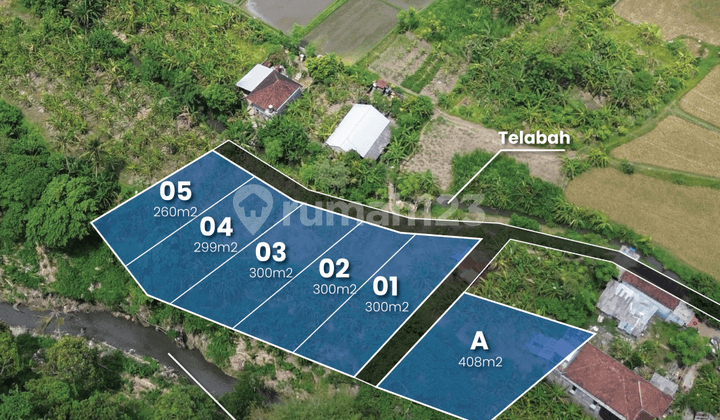 Tanah Lelang Dekat Livingworld View Sawah Dan Sungai