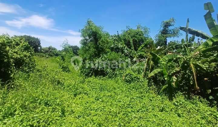 Tanah Cemagi Dekat Pantai Zona Pink Area Villa
