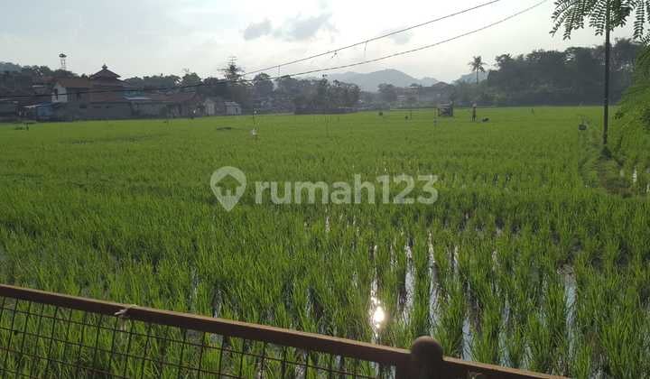 Tanah Kosong di Daerah Padalarang