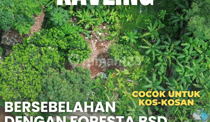 Dijual Kavling Murah, Belakang Bca Foresta, Cocok untuk Investasi Kost-Kostan