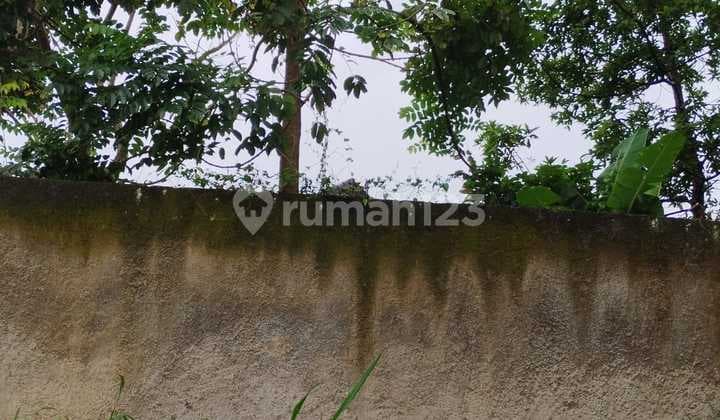 For Sale Tanah Kavling di Setraduta Cemara