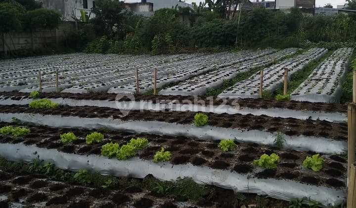 For Sale Tanah Luas di Parongpong - Lebar Jalan 2 Mobil