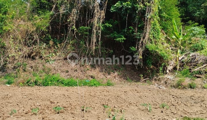 Tanah 500 m² di Komplek PPR ITB – Lokasi Eksklusif & Strategis!