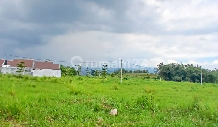 Tanah Dekat Kampus UIN 3 cocok buat KOS