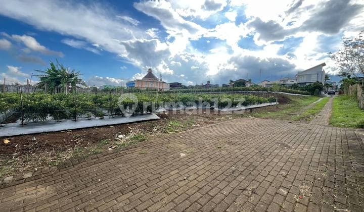 Tanah Malang Siap Bangun Merjosari