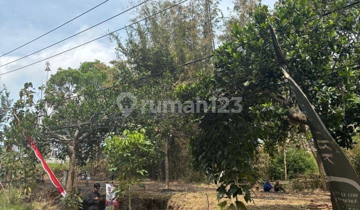 Tanah Siap Bangun Samping Thursina Pas Cocok Buat Usaha