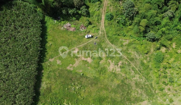 Tanah Strategis Kota Malang Cocok Investasi