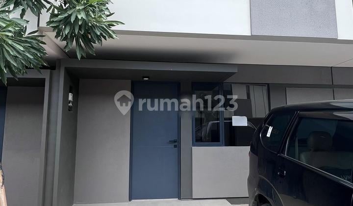 Rent House Park Serpong 3 Bedrooms Kitchen Renovated