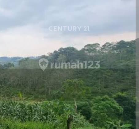 Tanah 5 Ha Lembah Karmel, Samping Tempat Misa&Retret Romojohanes