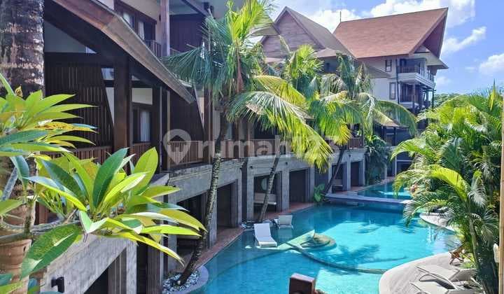 Hotel Masih Aktif Termurah Di Canggu Bali