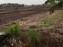 Industrial Land Kedamean, Area 13,900 m², Certificate of Ownership, East, Front Width 36 m