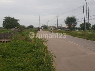 Tanah Industri JIIPE Manyar Gresik, Kami Spesialis Tanah Industri