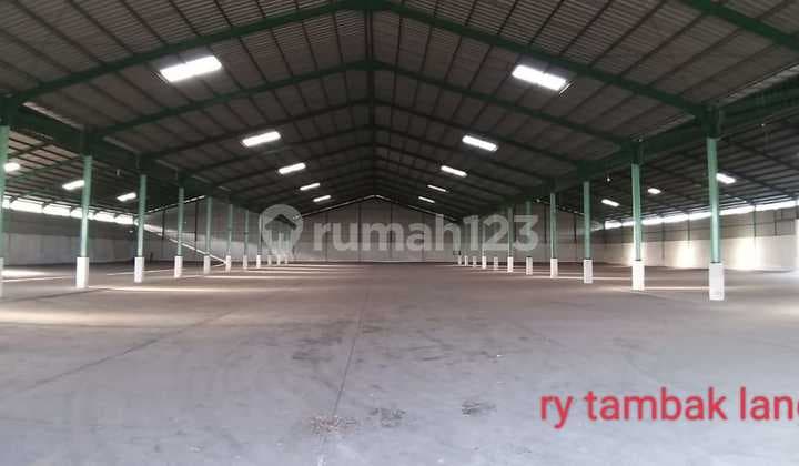 Osowilangun, Kami Spesialis Margomulyo, Stok Banyak Hub Kami