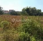 Land 18000, We specialize in Driyorejo, Large stock available, Contact us.