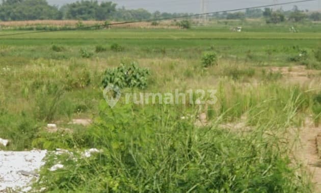 Tanah 14750, Kami spesialis Driyorejo, Stok banyak, Hubungi kami