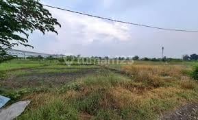 Cari Beli Tanah Driyorejo Dan Sekitar? Hub Kami, Spesialis Driyorejo, Banyak Pilihan