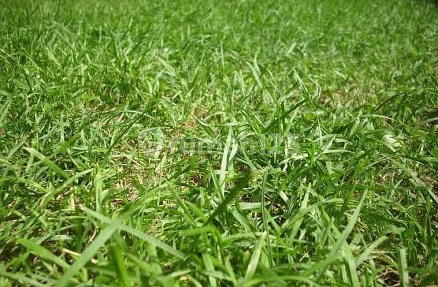 Cari Tanah Graha? , Telpon Kami Dulu, Stok Ratusan, Luas190-2500M2