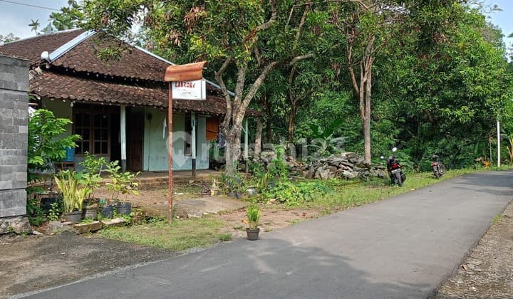 Tanah Luas Murah Bonus Bangunan Rumah Cocok untuk Usaha Peternakan