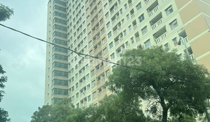 Studio Apartment di Belmont Residence Srengseng Jakarta Barat