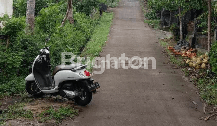 Jual Tanah lokasi Jembrana