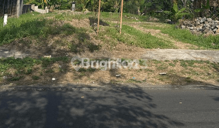 Disewakan Tanah Murah Tabanan