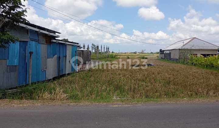Tanah Luas & Panjang - Darmasaba, Kabupaten Badung