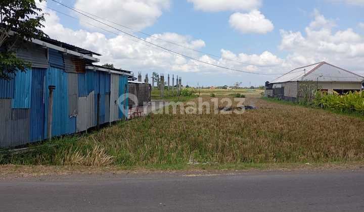 Tanah Luas & Panjang - Darmasaba, Kabupaten Badung