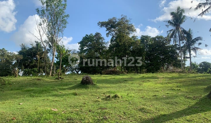 Large Land in Strategic Development Area - Selemadeg, Tabanan