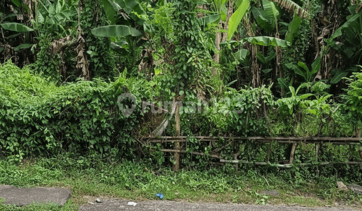 Tanah Lokasi Strategis Cocok untuk Usaha - Peguyangan, Denpasar Utara