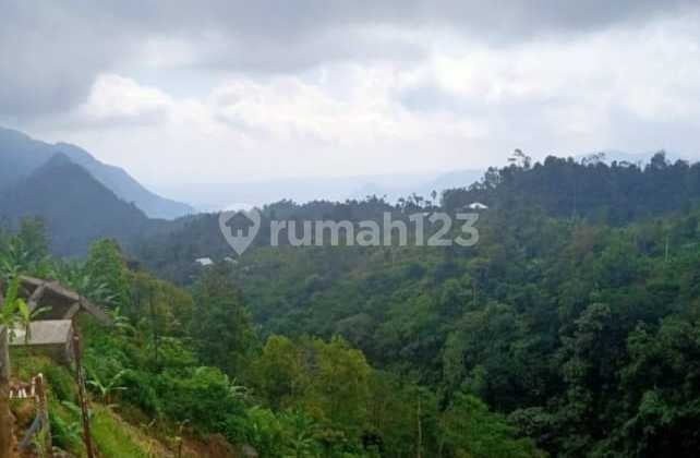 Tanah Luas dengan View Wisata - Buleleng
