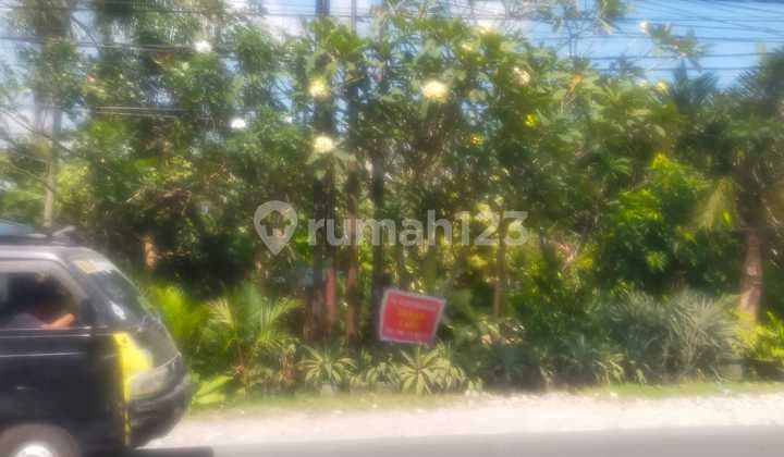 Tanah 300 m2 Canggu, Badung