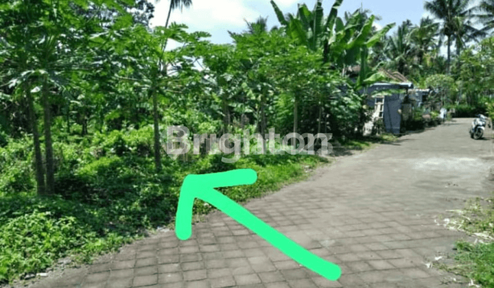 JUAL TANAH LOKASI MENGWI